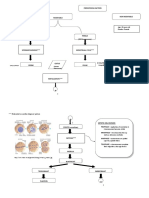 Physiology of Pregnancy Schematic Diagram: Predisposing Factors