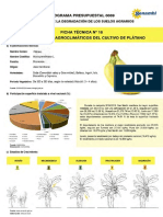 Ficha del Cultivo de Platano.pdf