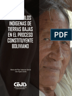 Los pueblos indígenas de tierras bajas en el proceso constituyente boliviano.