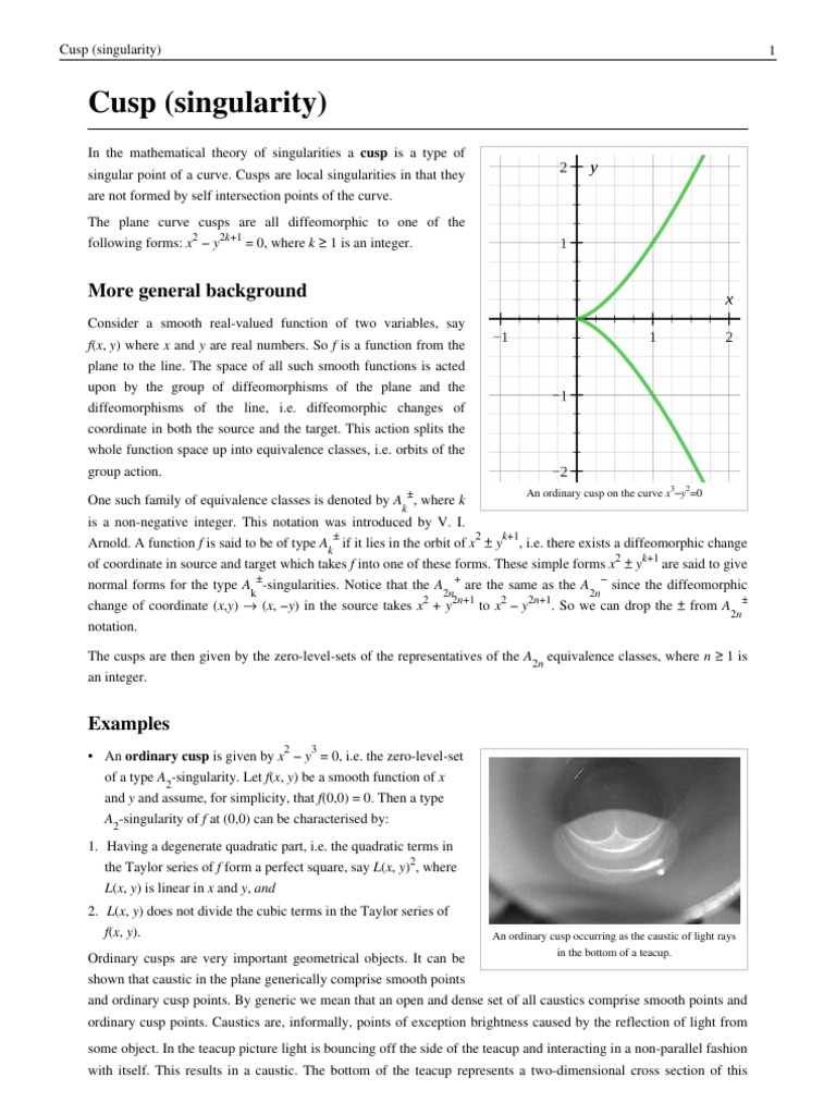 Cusp | Download Free PDF | Mathematical Concepts | Geometry