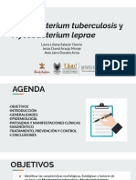 Tuberculosis y Lepra: Características de Mycobacterium tuberculosis y Mycobacterium leprae
