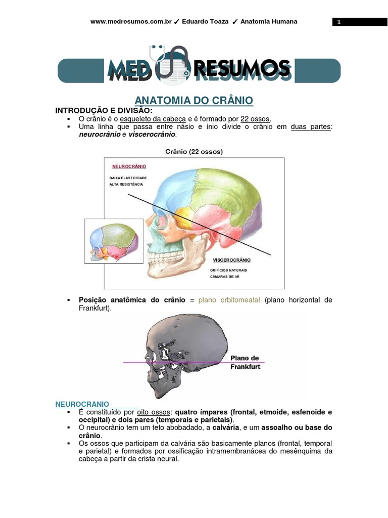Anatomia Do Crânio Pdf