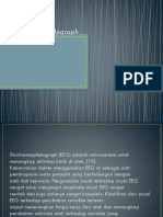 Electroencephalograph (EEG)