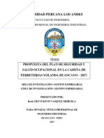 PLAN DE SEGURIDAD Y SALUD OCUPACIONAL.pdf