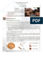 Material Ciencias