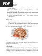 HIPOTÁLAMO E HIPÓFISE