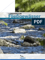 Fliessgewaesser PDF