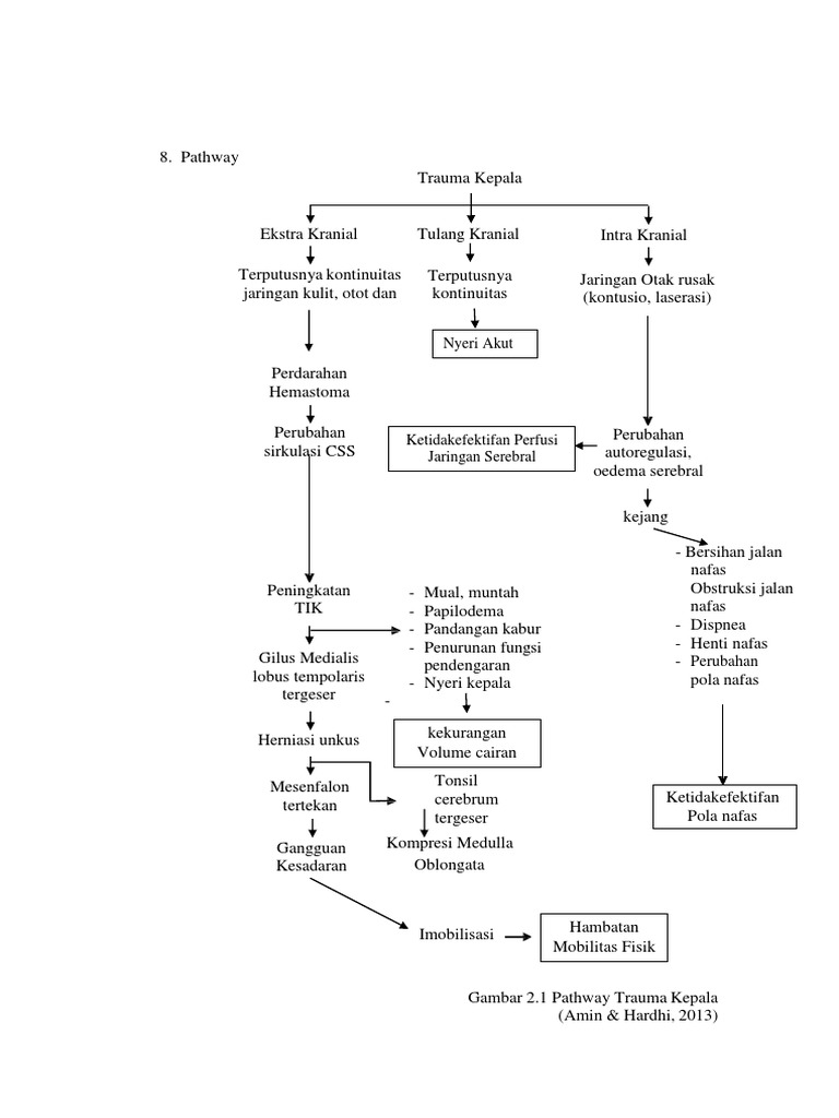 Pathway CKB | PDF