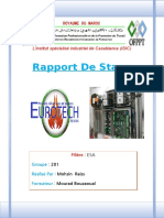 Rapport de Stage Électromécanique Des Systèmes Automatiser EUROTECH