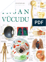 Dorling Kindersley - İnsan Vücudu PDF