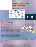 STRUKTUR THORAX DAN ABDOMEN SERANGGA