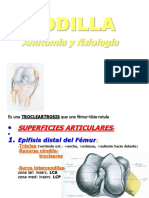 INESTB RODILLA