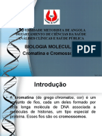 Cromatinaecromossoma 150819045118 Lva1 App6891