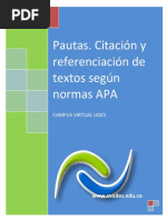 Instructivo pautas normas apa 2012