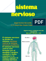 sistema-nervioso-1223743498164505-9.pdf