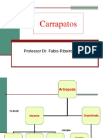 Carrapatos PDF
