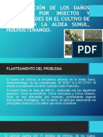 Diseño de Investigacion