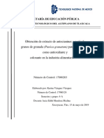 Obtención de Extracto de Antocianinas A Partir de Granos de Granada (Punica Granatum) Colorante en La Industria Alimentaria