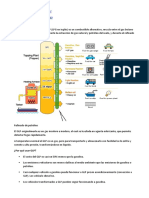 Qué es el GLP y por qué