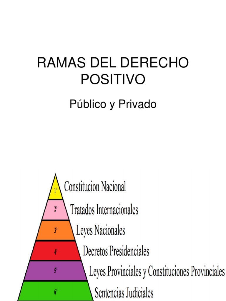 Ramas Del Derecho | PDF | Ley Pública | Derecho laboral