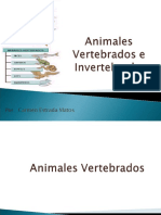 animales vertebrados e invertebrados