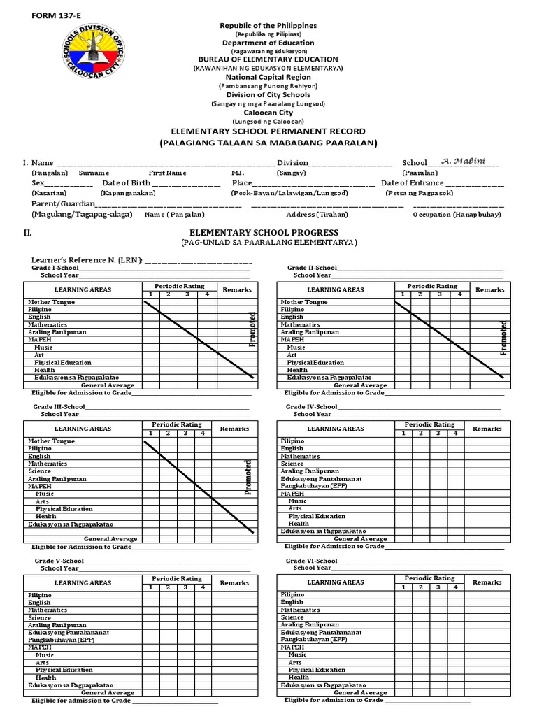Elementary Form 137 Sample | PDF