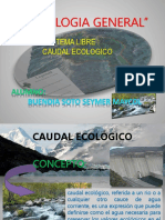 CAUDAL ECOLOGICO.pptx