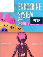 Endocrine System