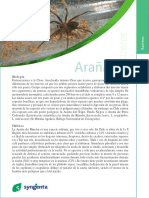 aranas.pdf