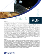 rata_negra.pdf