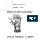 Cedera Tendon Ekstensor