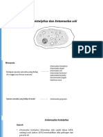 2.E. Histolytica, E. Coli-1