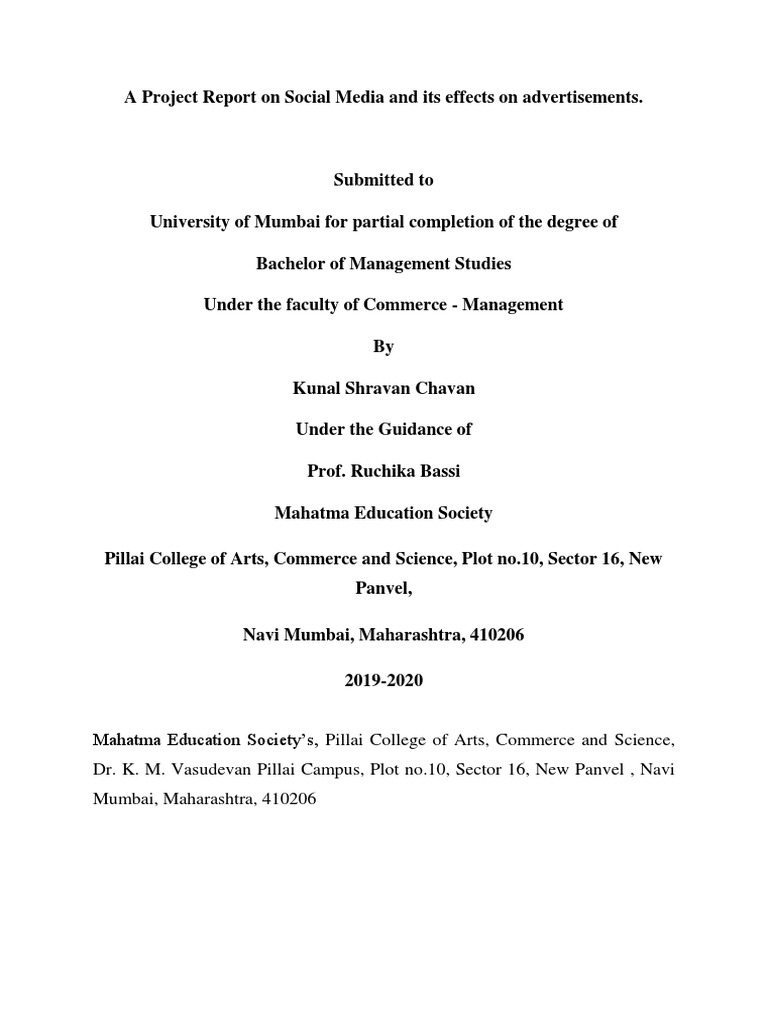 Social Networking Project Report | PDF | Career & Growth | Business