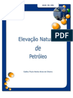 Elevação Natural de Petroleo