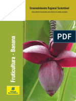 Vol3FruticBanana.pdf