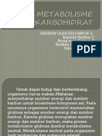 Metabolisme Karbohidrat