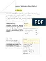 Introducción a las expresiones algebraicas, funciones y geometría del triángulo