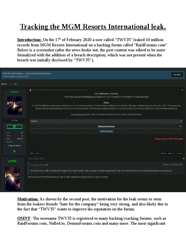 MGM Leak Report | PDF