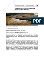 tollodeaguadulcetollobagre.pdf