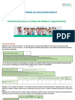 Orientaciones Cédula de Madurez