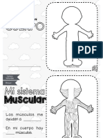 como funciona el cuerpo humano.pdf