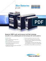 BlueBatteris PDF