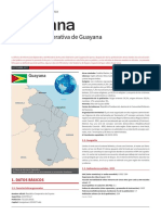 GUAYANA_FICHA PAIS.pdf