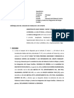 Modelo Denuncia Violencia Familiar