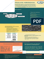 Infografía Híbridos