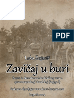 Luka Žerjavić - Zavičaj U Buri PDF