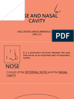 NOSE-AND-NASAL-CAVITY
