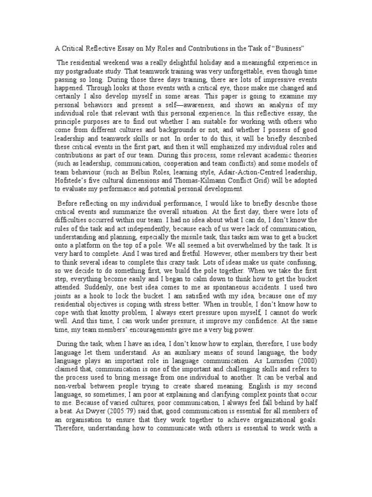 A Critical Reflective Essay on My Roles and Contributions in the Task