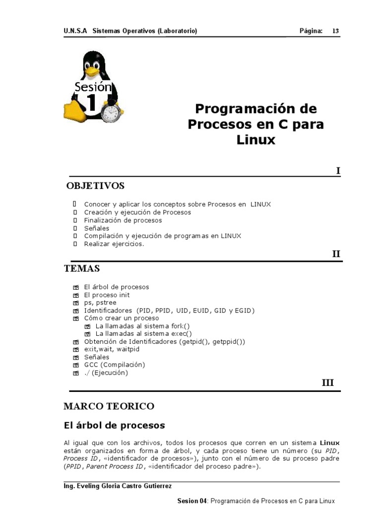 Programación de Procesos en C para Linux | PDF | Proceso (Computación ...