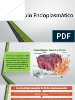 Retículo Endoplasmático